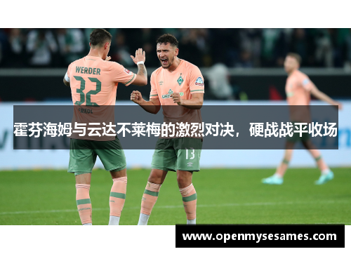 霍芬海姆与云达不莱梅的激烈对决，硬战战平收场